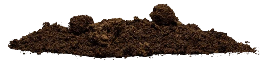 Top Soil Transparent Back Side